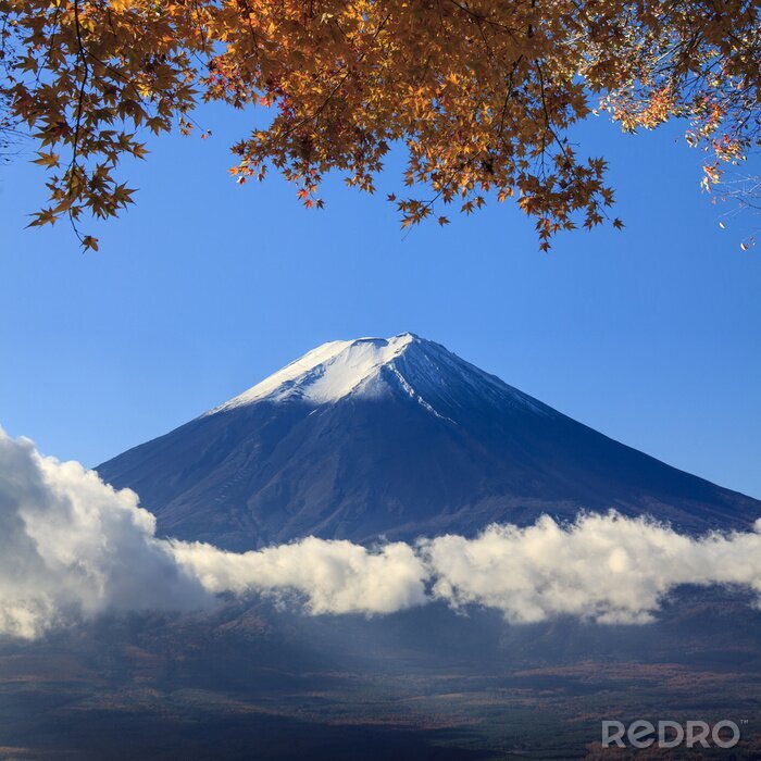 Fotobehang Mount Fuji Azië