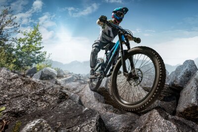 Fotobehang Mountainbiker op stenen pad
