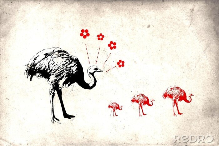 Fotobehang Muur met geschilderde struisvogels