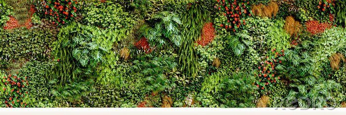 Fotobehang Muur van planten