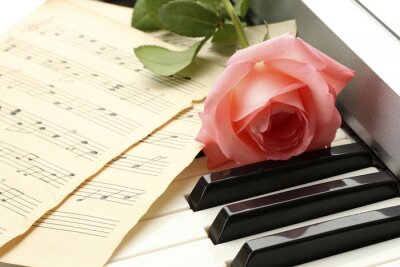 Fotobehang Muziek, piano en roos