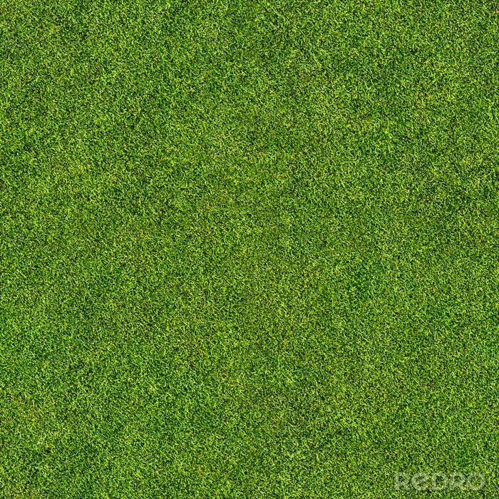 Fotobehang naadloze gras