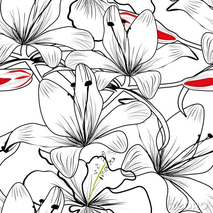 Fotobehang naadloze patroon met witte lelie bloemen