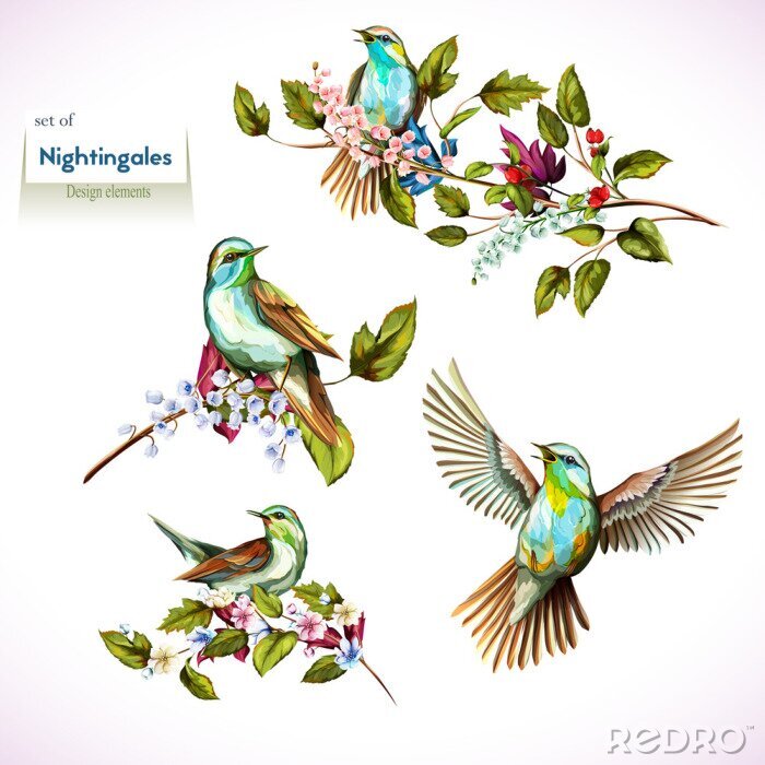 Fotobehang Nachtegaal en bladeren