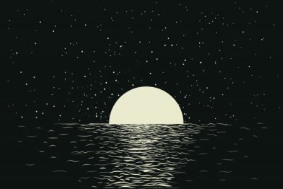 Nachtlandschap met maan in zee
