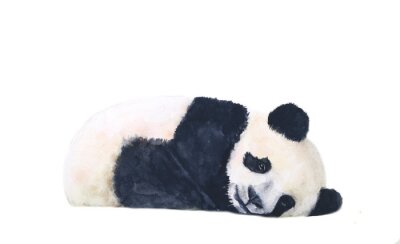 Nadenkend aquarel panda