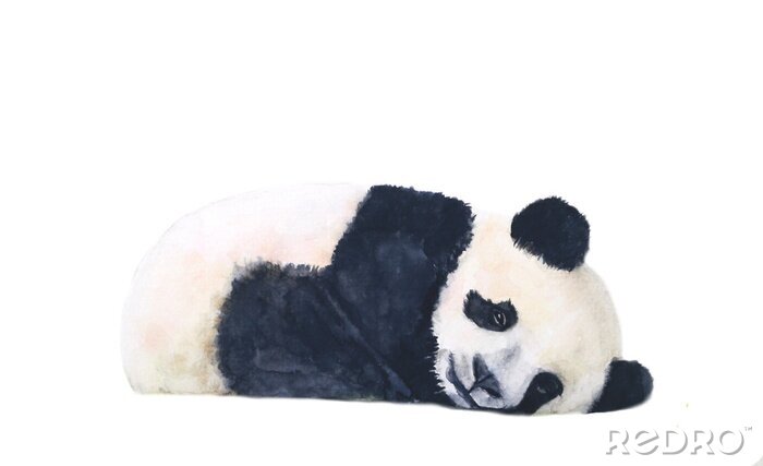 Fotobehang Nadenkend aquarel panda