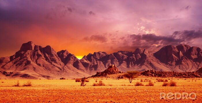 Fotobehang Namib desert