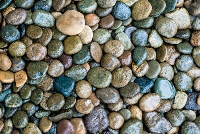 Fotobehang Natte stenen uit een rivier