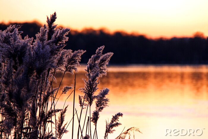Fotobehang Natuur aan het meer bij zonsondergang