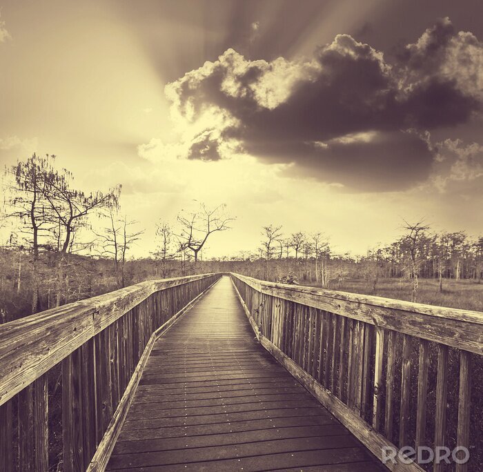 Fotobehang Natuur bij de pier