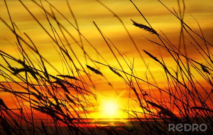 Fotobehang Natuur bij zonsondergang