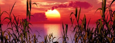 Natuur bij zonsopgang