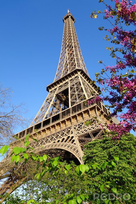 Fotobehang Natuur bloemen en de Eiffeltoren