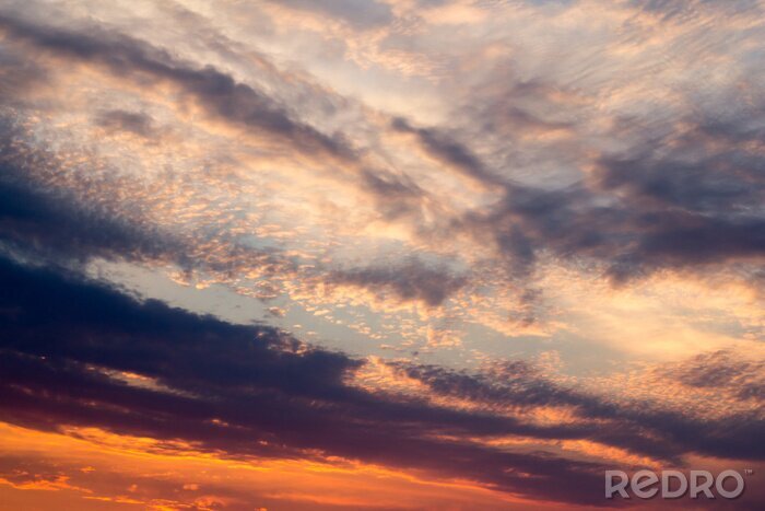 Fotobehang Natuur en een donkere hemel
