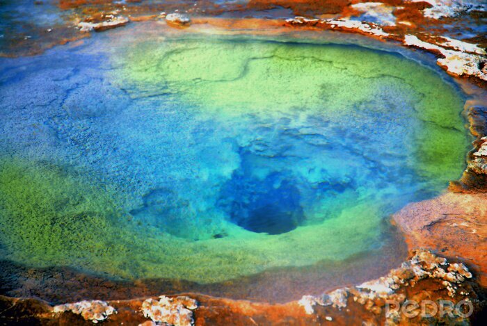 Fotobehang Natuur en hete smaragdgroene lente