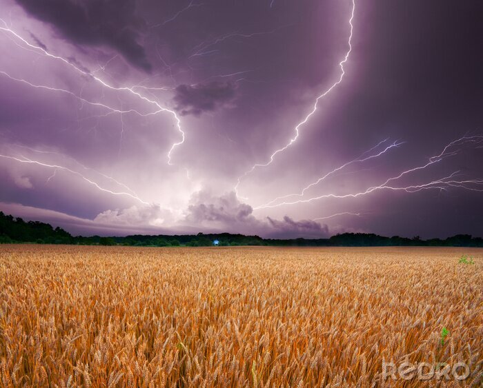 Fotobehang Natuur en storm over het veld