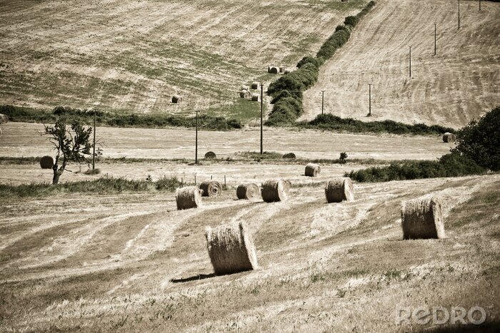Fotobehang Natuur in Toscane