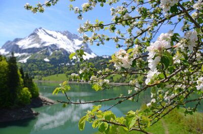 Fotobehang Natuur in Zwitserland