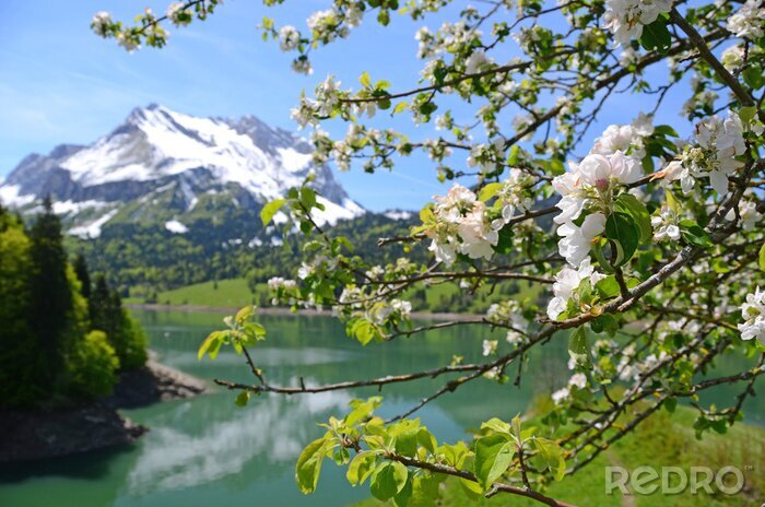 Fotobehang Natuur in Zwitserland