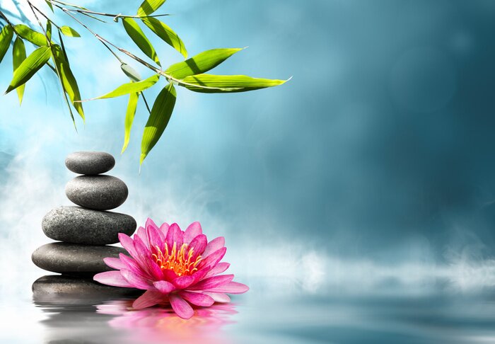 Fotobehang Natuur met stenen en waterlelie