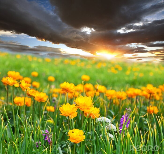 Fotobehang Natuur onder een bewolkte hemel