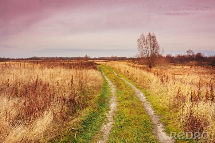 Fotobehang Natuur op het platteland
