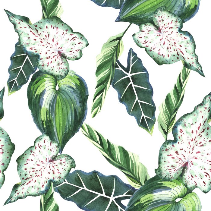 Fotobehang Natuur van Hawaï