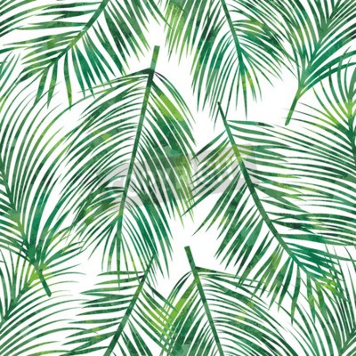 Fotobehang Natuurlijk motief van palmbladen