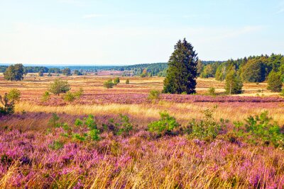Fotobehang Natuurlijke wilde velden
