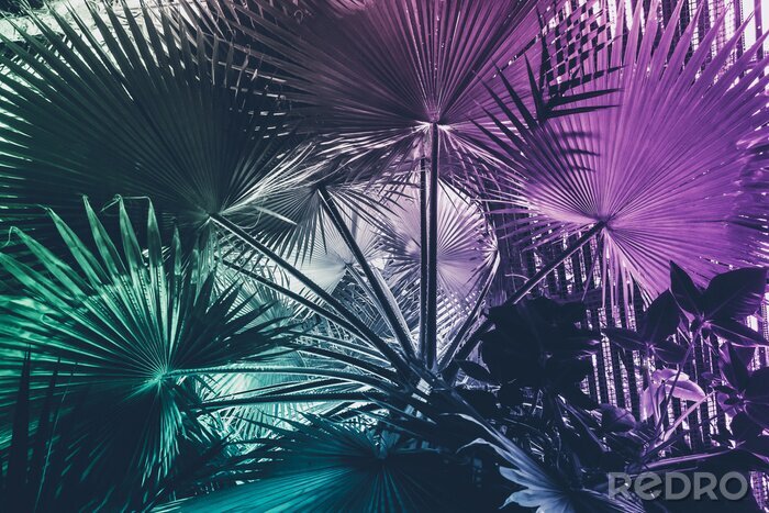 Fotobehang Neon motief met palmboom