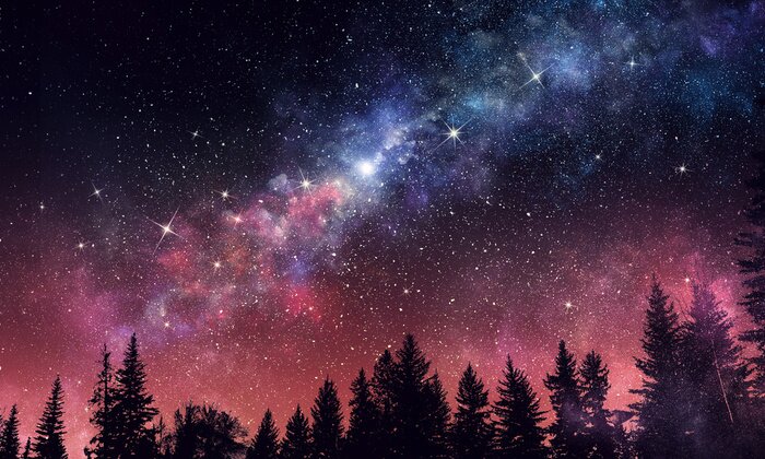 Fotobehang Nevel en nachtelijke hemel boven het naaldbos