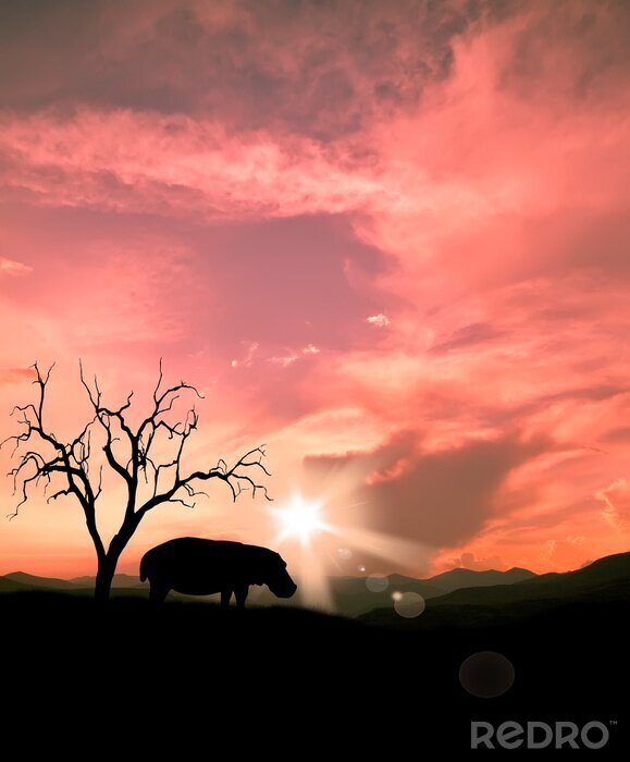 Fotobehang Nijlpaard silhouet