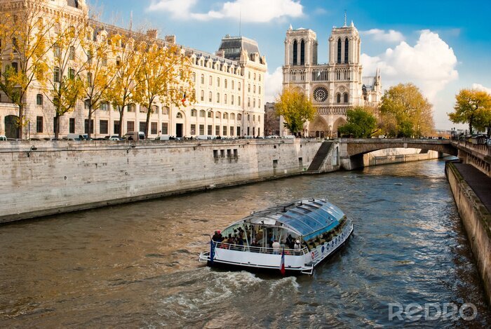 Fotobehang Notre Dame kathedraal in Parijs