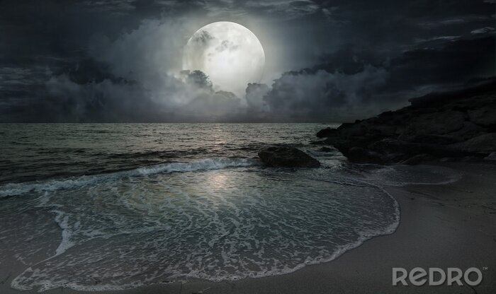 Fotobehang Oceaan bij nacht in het maanlicht