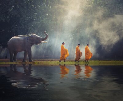 Fotobehang Olifant en drie monniken