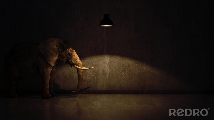 Fotobehang Olifant onder een lamp