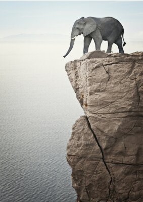 Fotobehang Olifant op de rand van een rots