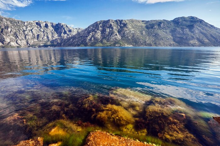 Fotobehang Onderwaterplanten en bergen