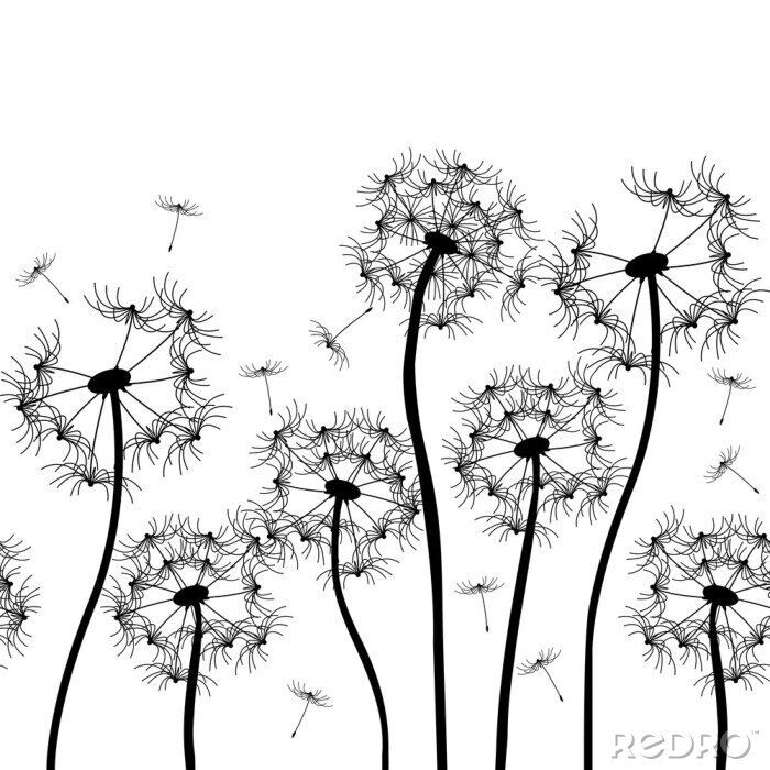 Fotobehang Ontwerp met paardenbloemen