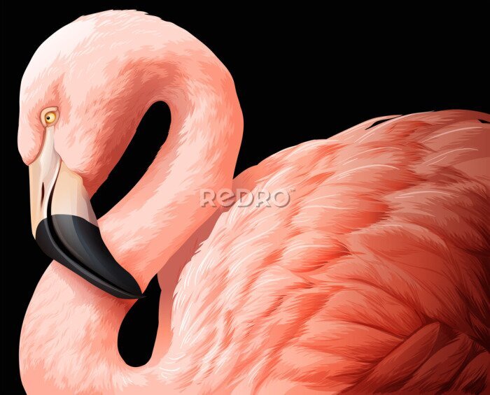 Fotobehang Ontwerp van flamingo op zwarte achtergrond