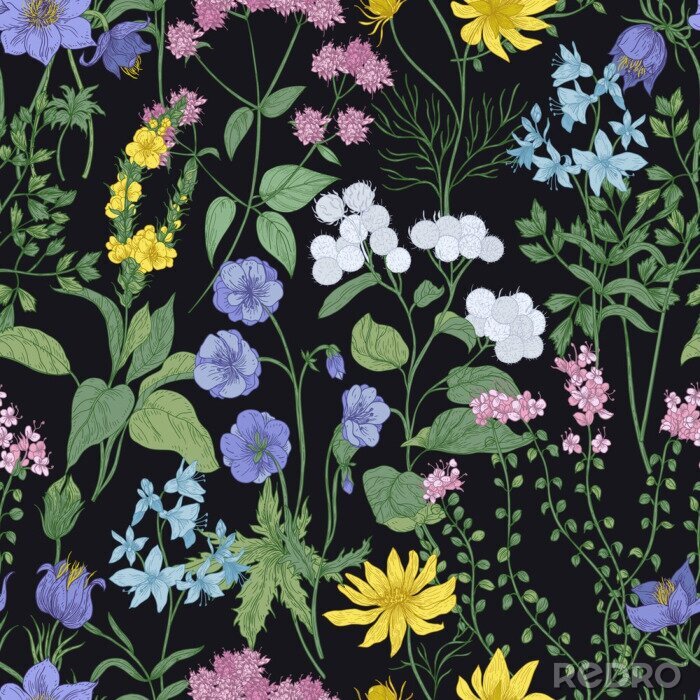 Fotobehang Op een zwarte achtergrond een patroon met wilde bloemen