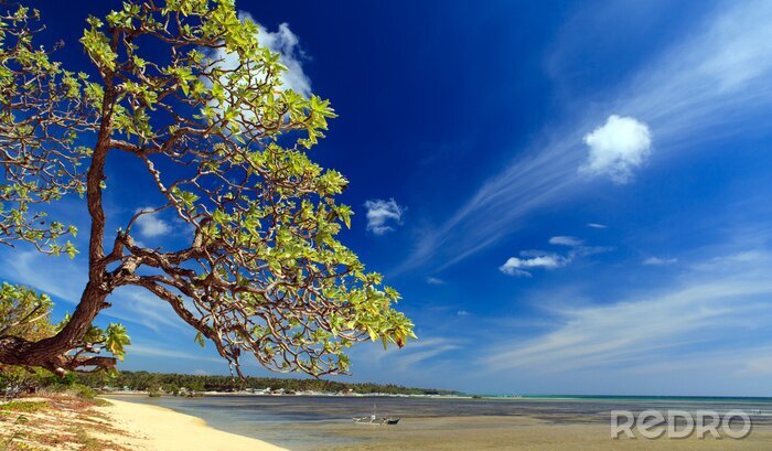 Fotobehang Op het strand