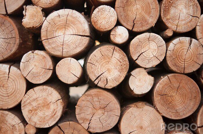 Fotobehang Opgestapeld brandhout