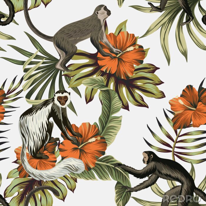 Fotobehang Oranje bloemen en dieren op een witte achtergrond