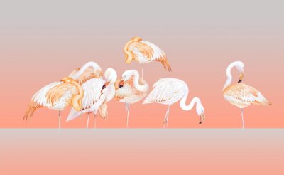 Fotobehang Oranje compositie met flamingo's