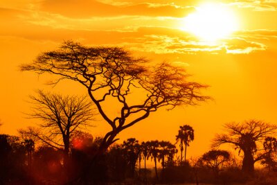 Fotobehang Oranje gloed van een Afrikaanse zonsondergang