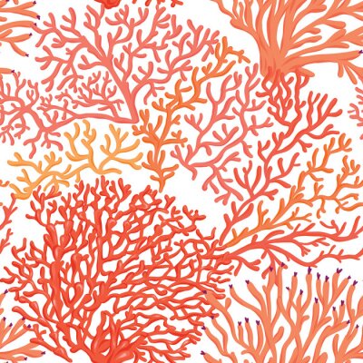 Fotobehang Oranje koraalrif