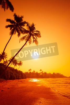 Fotobehang Oranje tropen