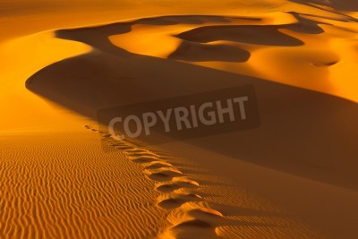 Fotobehang Oranje uitzicht op de woestijn